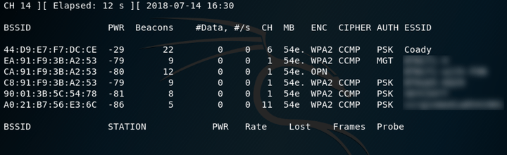 Screenshot of airodump-ng