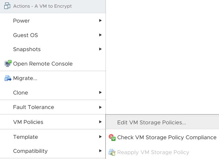 Encrypting a VMware Virtual Machine