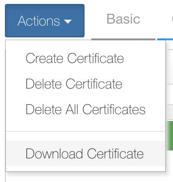 Screenshot of downloading the KMS certificate