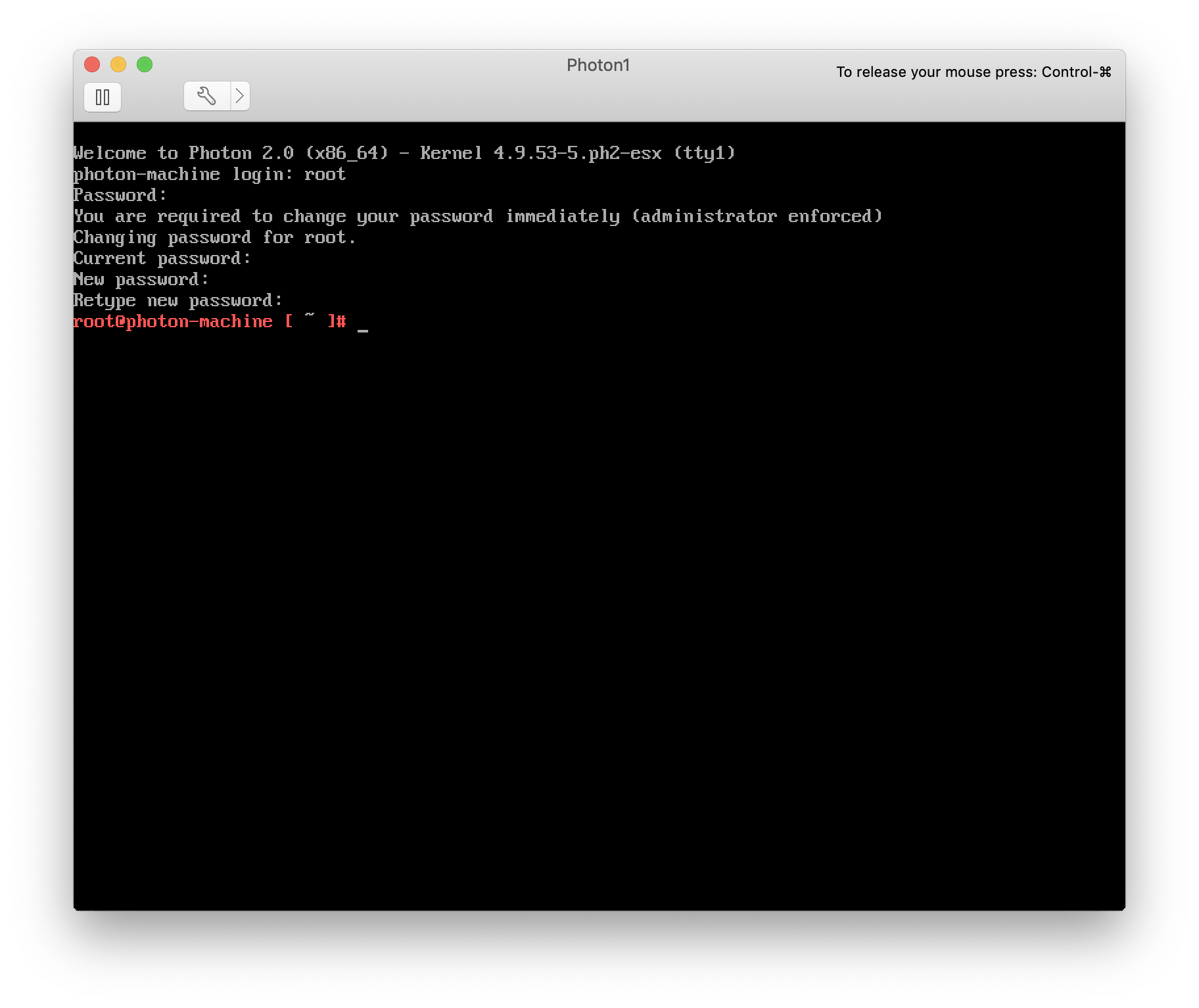 Screenshot of the PhotonOS command line