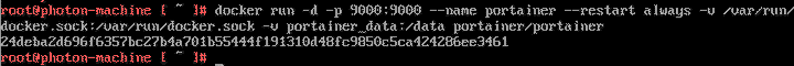 Screenshot of the Docker run command