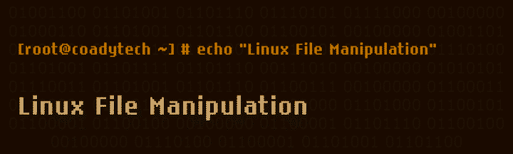 Mastering Linux File Manipulation: Cat, Head, Tail & Less
