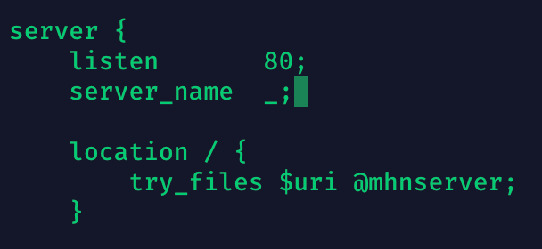 Screenshot of NGINX settings