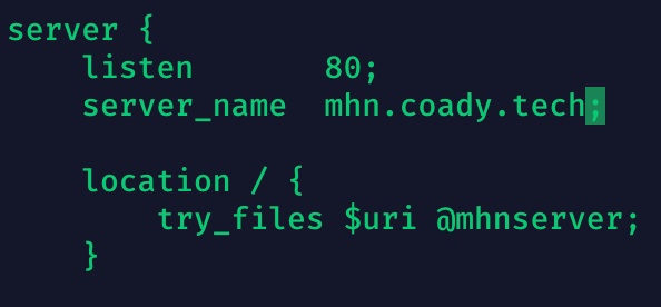 Screenshot of NGINX settings